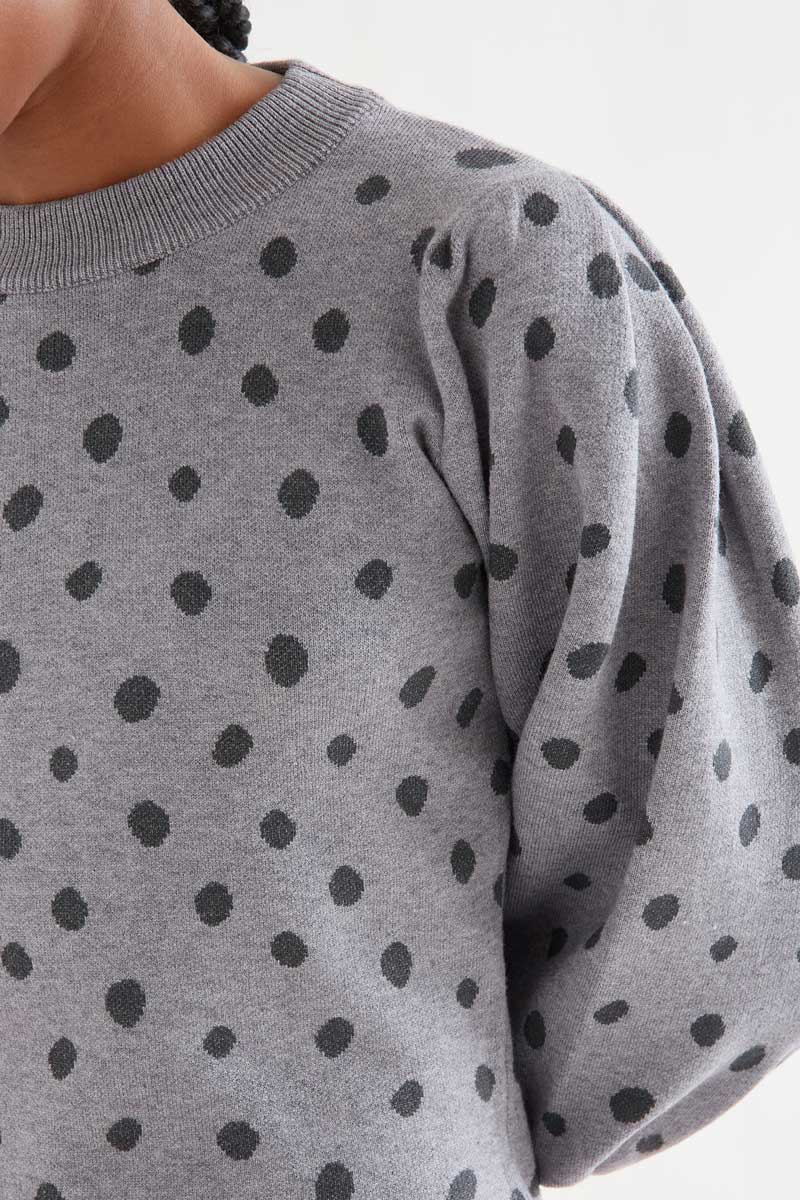 Catahoula gray polka dot midi dress